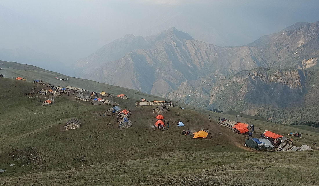 मुगुमा यार्सा संकलनमा गएका दुईजनाको मृत्यु, एक सिकिस्त